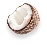 page-content-coconut-right