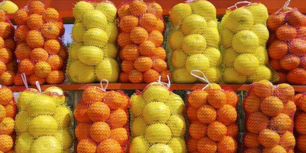 fasovka-fruktov-i-ovoshej-v-setku-rukav